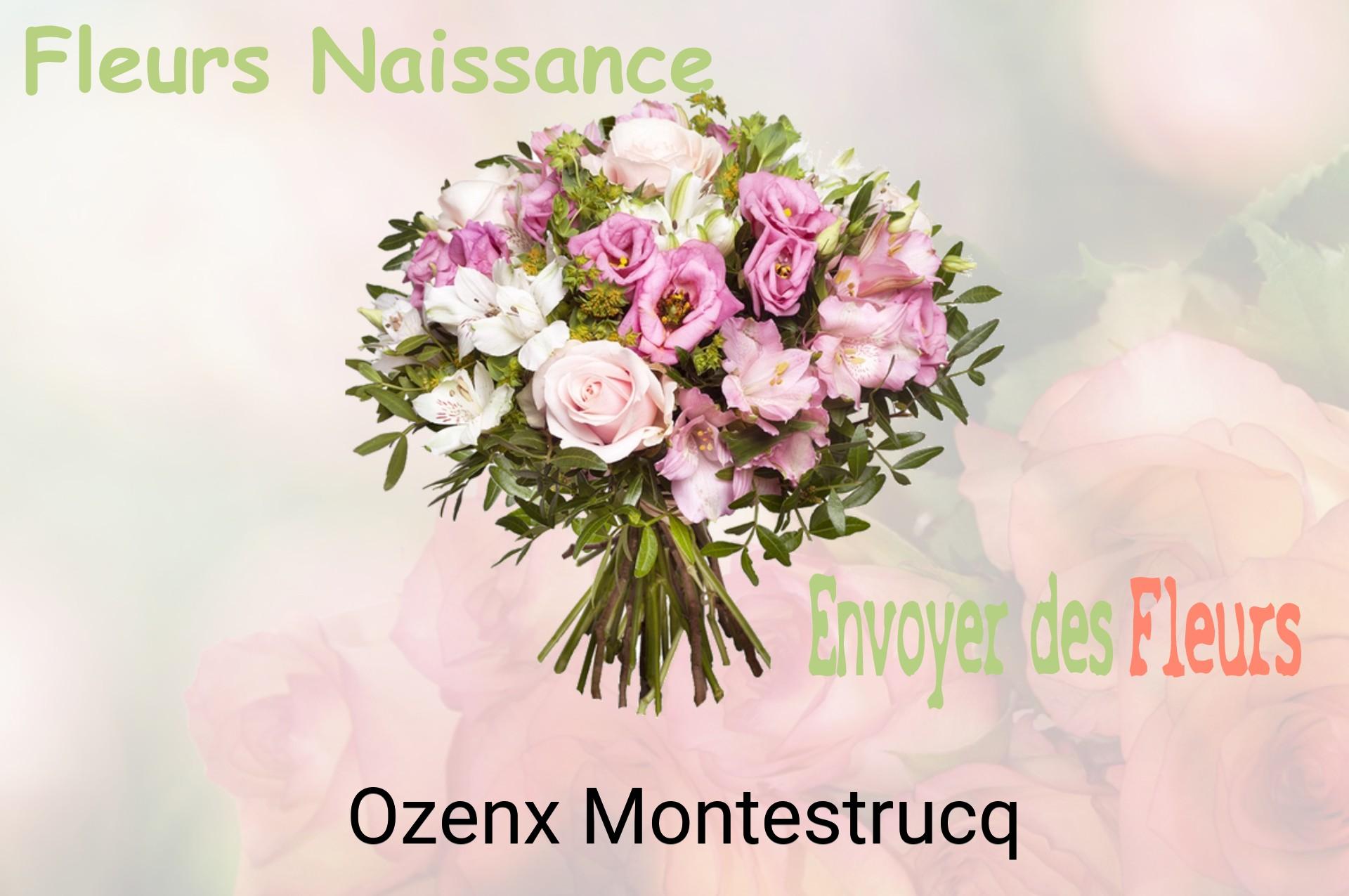 Bouquet de fleurs de naissance livré à Ozenx-Montestrucq
